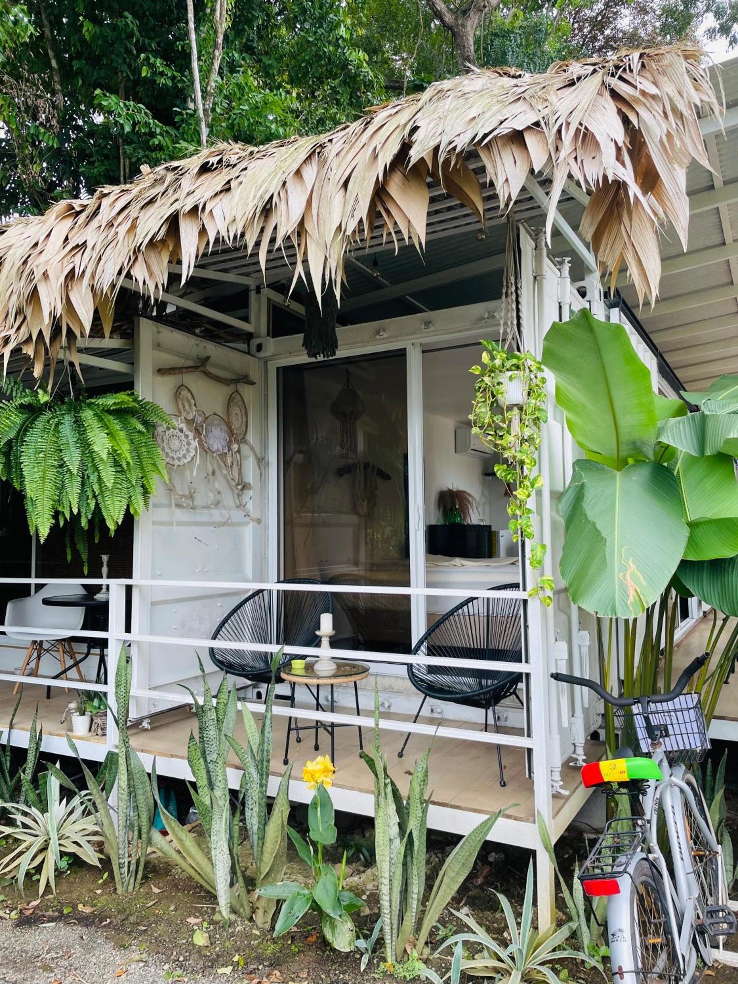 Casa Luce Bed and Breakfast Puerto Viejo de Talamanca Exteriör bild