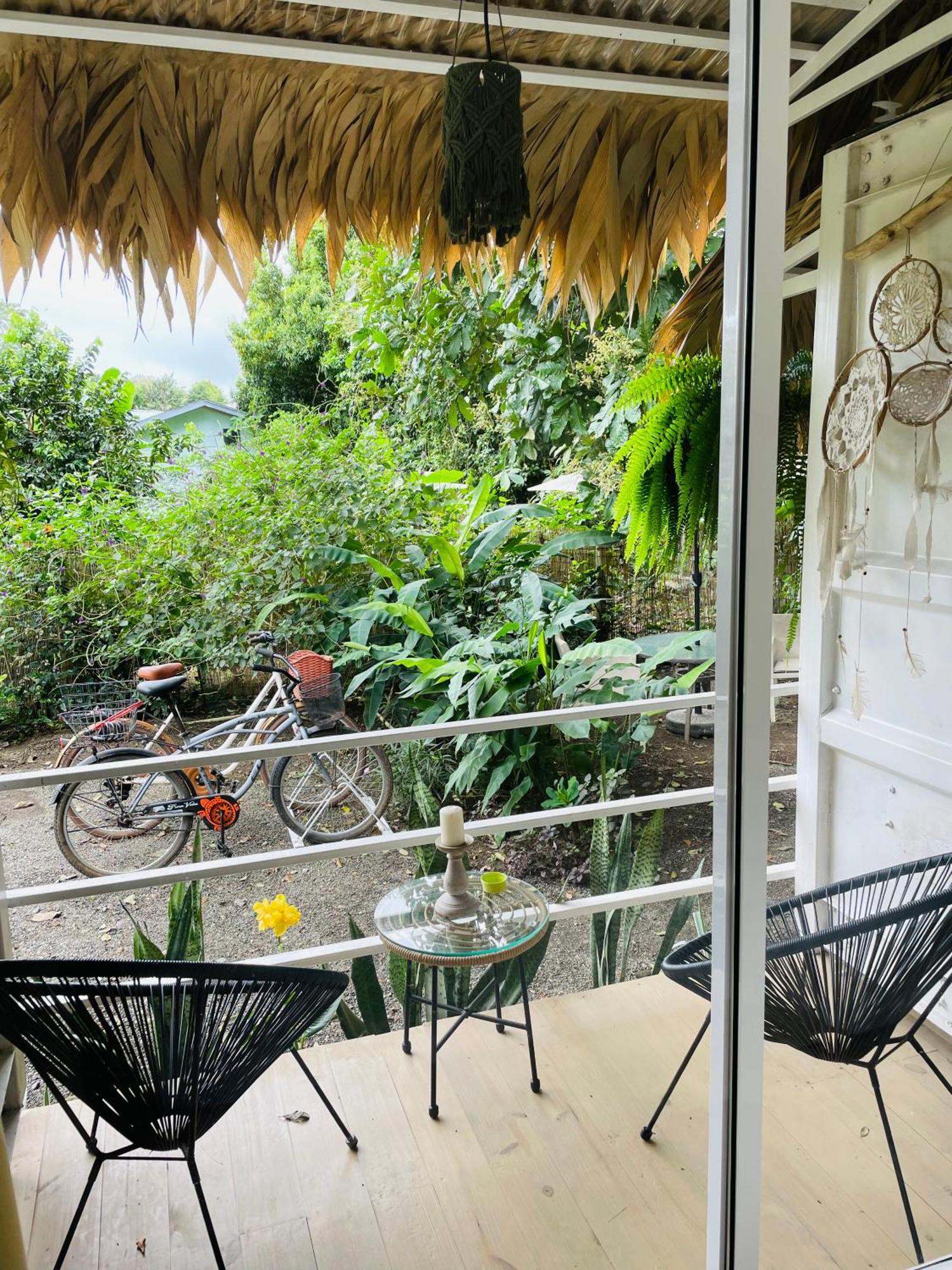 Casa Luce Bed and Breakfast Puerto Viejo de Talamanca Exteriör bild