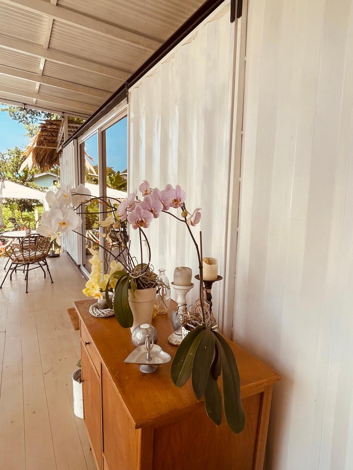 Casa Luce Bed and Breakfast Puerto Viejo de Talamanca Exteriör bild