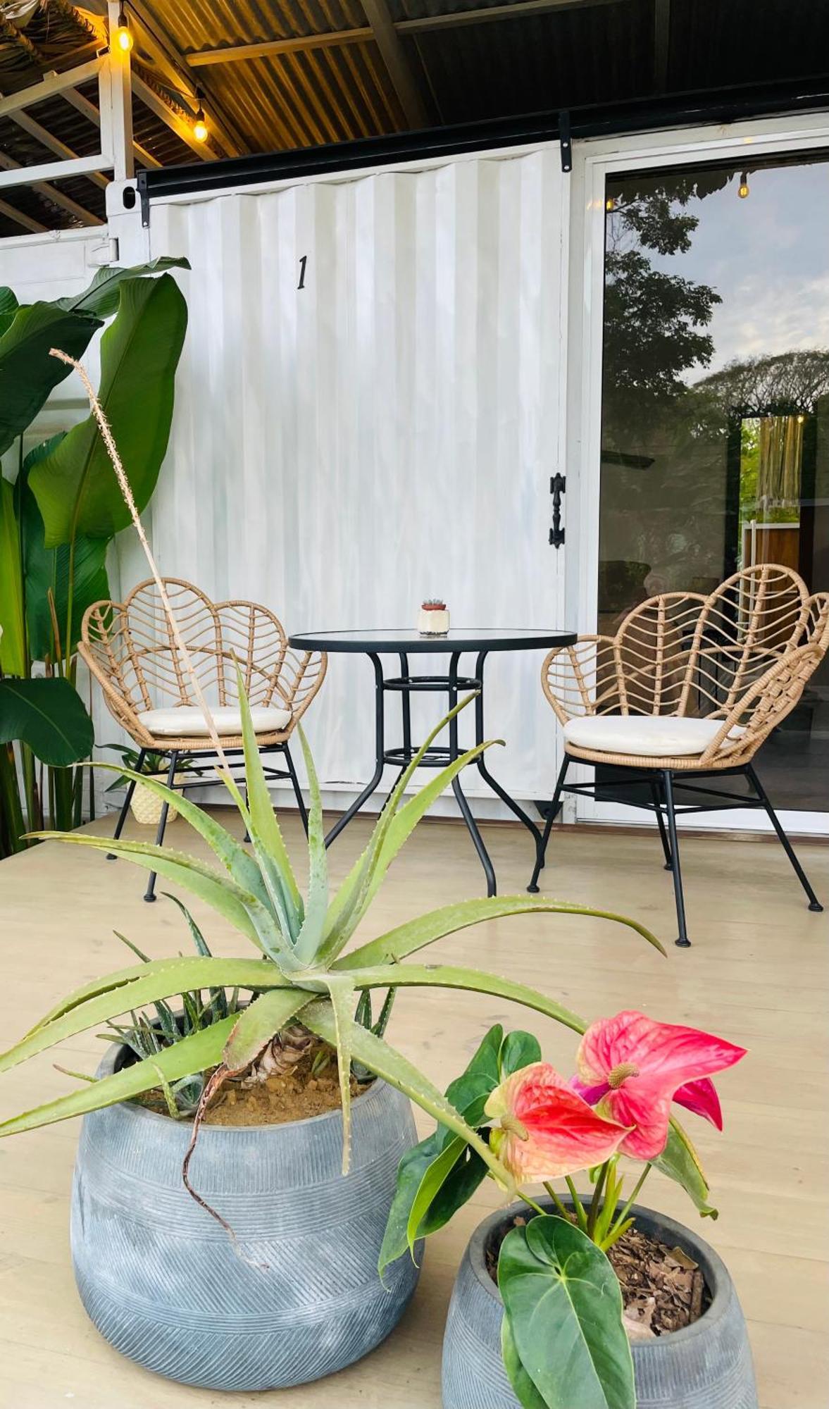 Casa Luce Bed and Breakfast Puerto Viejo de Talamanca Exteriör bild